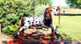 American Spotted Rocking Horse