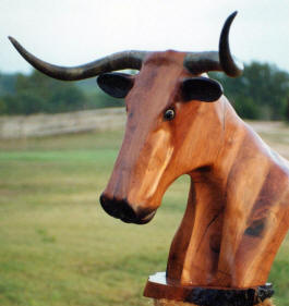 Longhorn carved wooden head