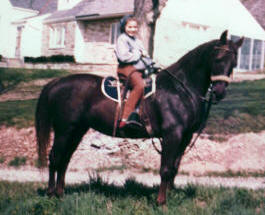 Becky's Horse created by Al Carr of Native Texan Horses in Fredericksburg, TX.